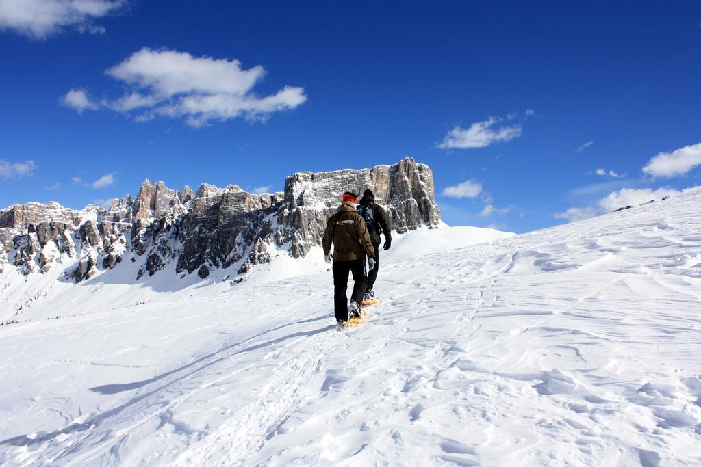 Villa Olimpia - Stayincortina Кортина д'Ампецо Екстериор снимка